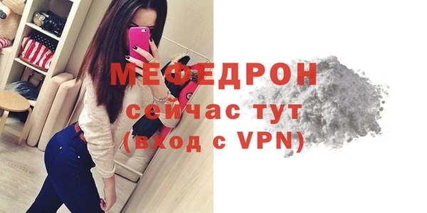 индика Заводоуковск