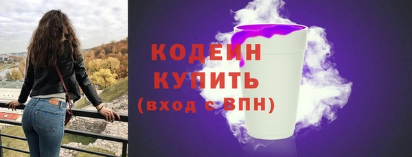 твердый Бородино