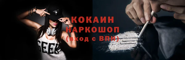 твердый Бородино