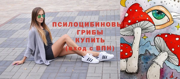 прущие крисы Богородицк