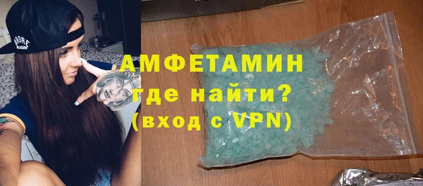 твердый Бородино
