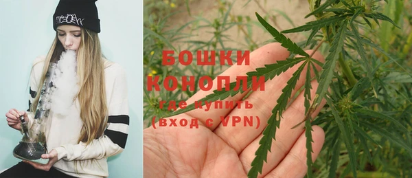 кокаин перу Богданович