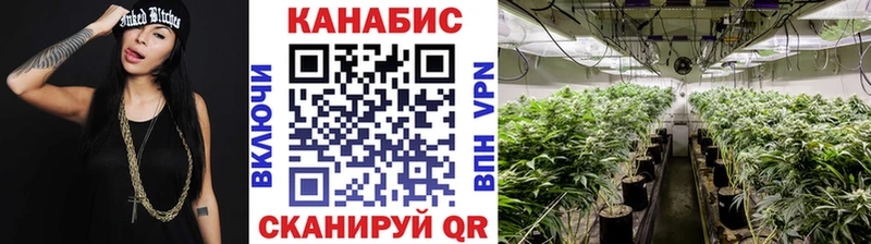 Бошки Шишки гибрид Бутурлиновка